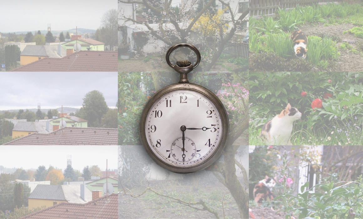 Oneyear Garden movie