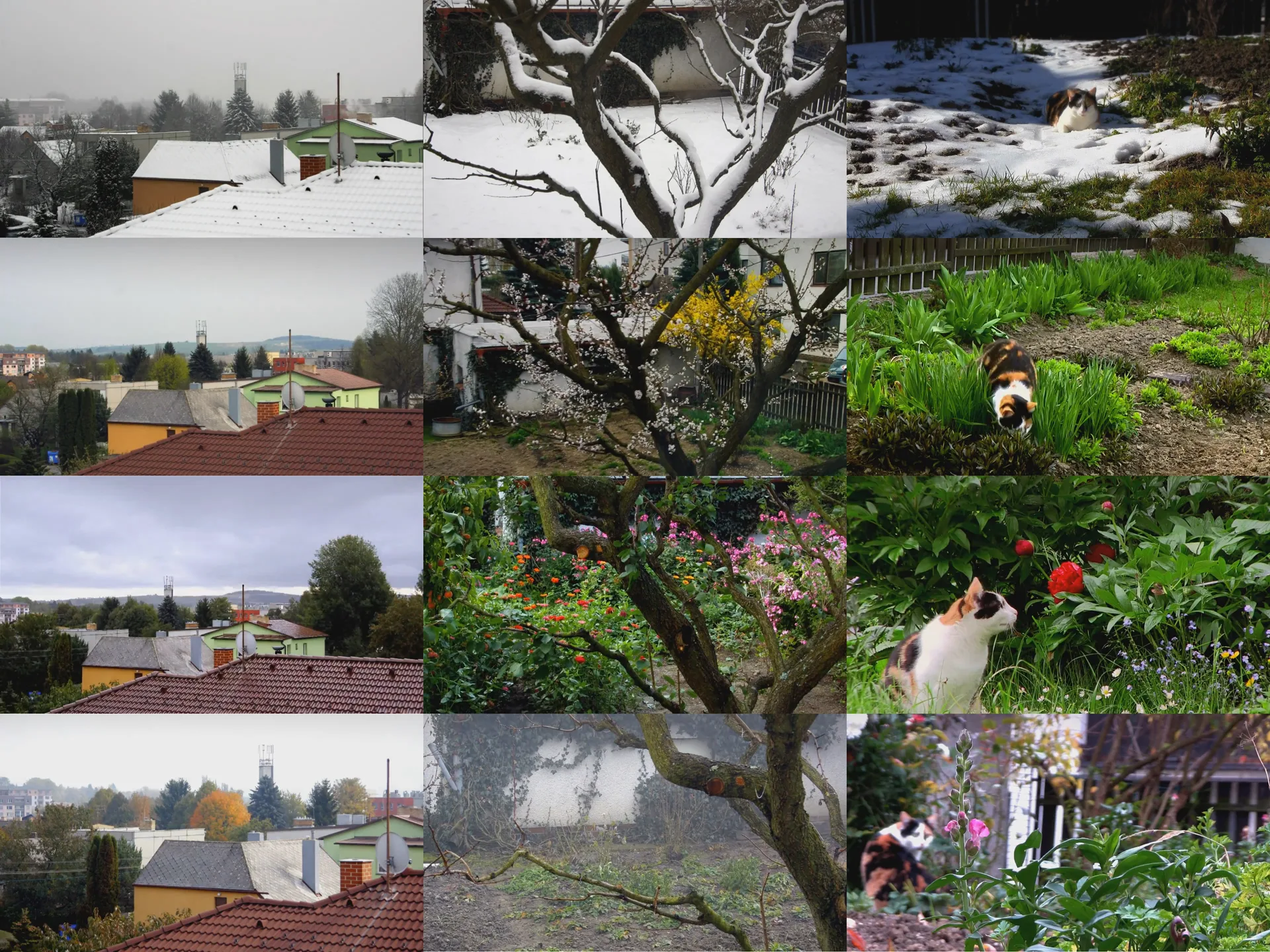 Jednoletá zhrada - čtyři roční období timelapse