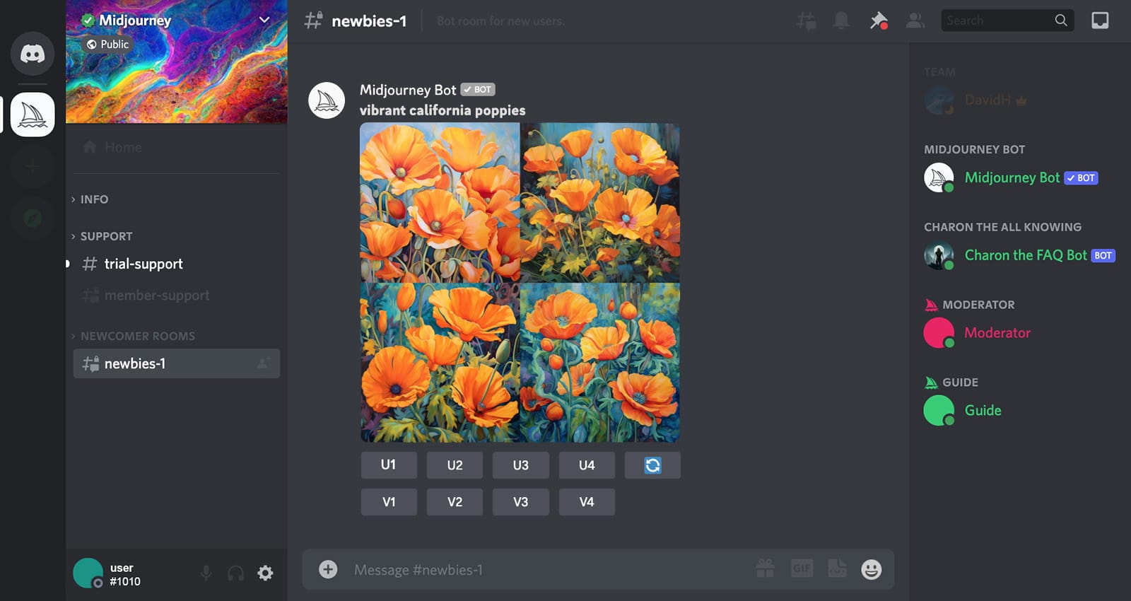 MJ_DiscordInterface Rozhraní Discordu Midjourney Discord