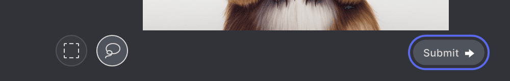 MJ_VaryRegion_SubmitPrompt