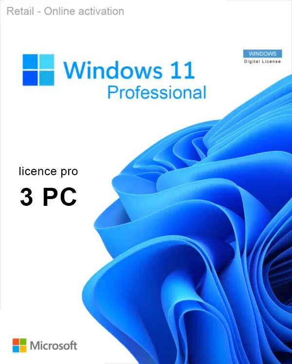 Microsoft Windows 11 Professional 64 bit (3 licence)