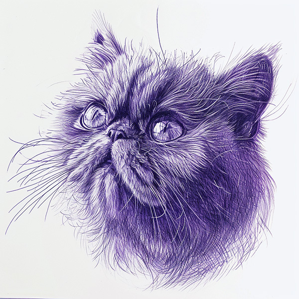 ref-image-cat náčrtek kočky kuličkovým perem, fialový inkoust, vygeneroval Midjourney