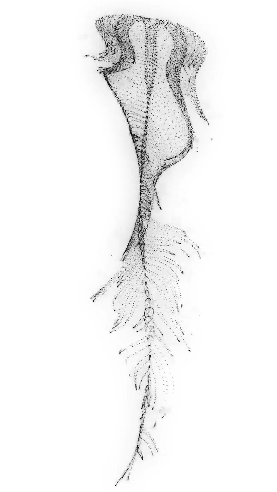 ex4_codecreationist_artificial_life Ex.4 #codecreationist Artificial life form