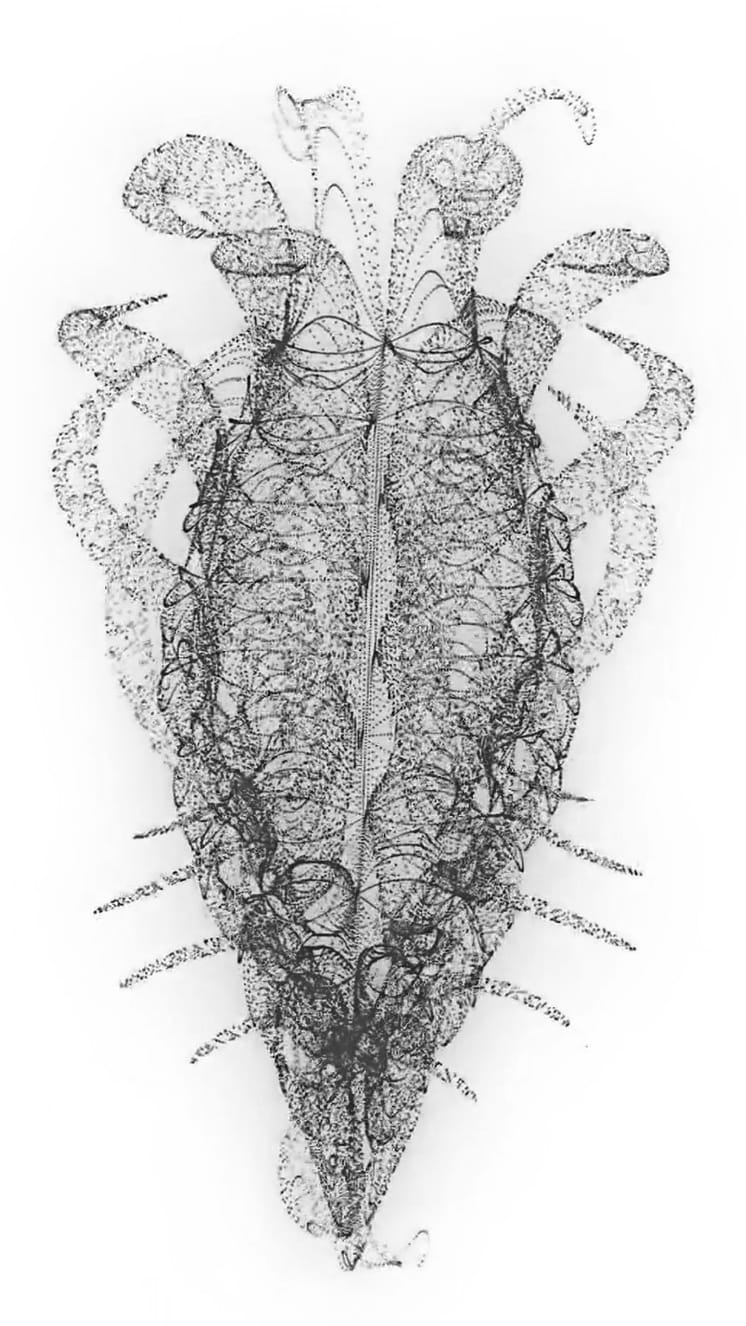 ex5_codecreationist_artificial_life Ex.5 #codecreationist Artificial life form
