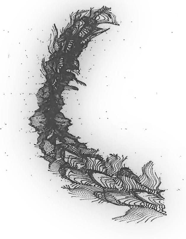 ex6_codecreationist_artificial_life Ex.6 #codecreationist Artificial life form