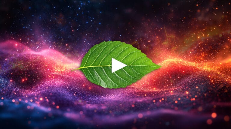 Playlist film festival logo