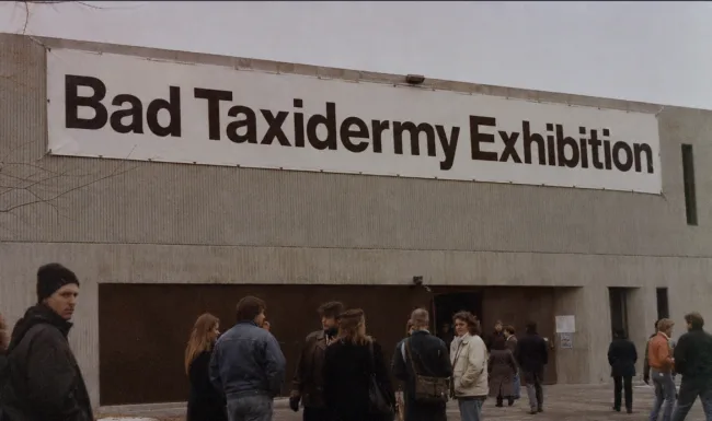 Bad Taxidermy Exhibition - Fejkart by d3arts.cz